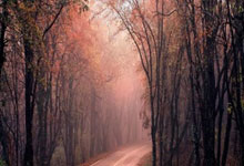 英冠南安普敦vs普雷斯顿最新情况如何?