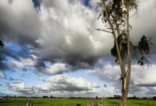 葡萄牙杯冠军意味着什么?